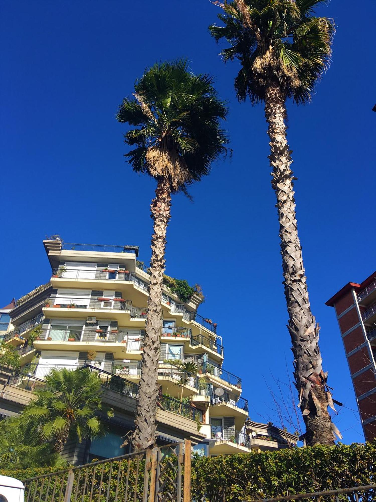 Seafront In The City